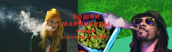 ПСИЛОЦИБИНОВЫЕ ГРИБЫ Инсар