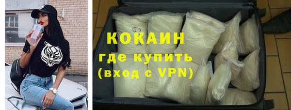ПСИЛОЦИБИНОВЫЕ ГРИБЫ Инсар