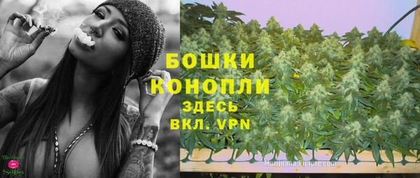ПСИЛОЦИБИНОВЫЕ ГРИБЫ Инсар
