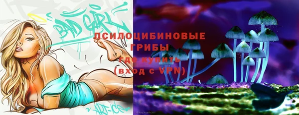 Альфа ПВП Инта