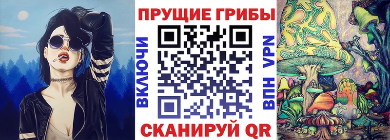 магазин продажи наркотиков  Кисловодск  Псилоцибиновые грибы мицелий 
